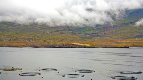 Fiskeoppdrett er foreløpig en marginal industri på Island. Her et anlegg utenfor Djupivogur på østkysten av øya.