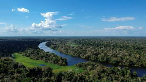 Brasils president Jair Bolsonaro har fjernet et forbud mot dyrking av sukkerrør i Amazonas. Her fra Miramar i delstaten Amazonas.