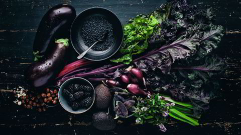 Lilladille. Kål, bjørnebær og aubergine ble utgjør basen i en nesten helt lilla salat. Tips: Barn kan være kresne til salater. Server ingrediensene i skåler og la dem lage sin egen favoritt. Se oppskrifter nederst i saken. Foto: David Frenkiel