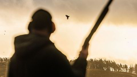 Fy fasan. Årlig settes det ut 40–50 millioner fasaner i Storbritannia – der jaktformen shooting har lange tradisjoner.
