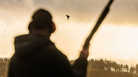 Fy fasan. Årlig settes det ut 40–50 millioner fasaner i Storbritannia – der jaktformen shooting har lange tradisjoner.