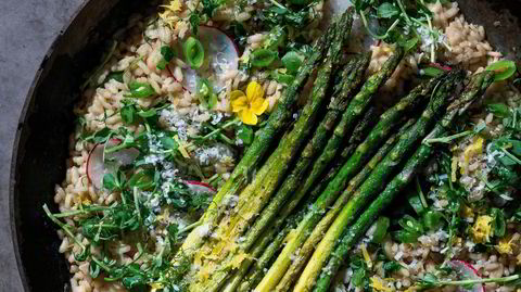 Less på. Risotto med grønne asparges og friske urter.