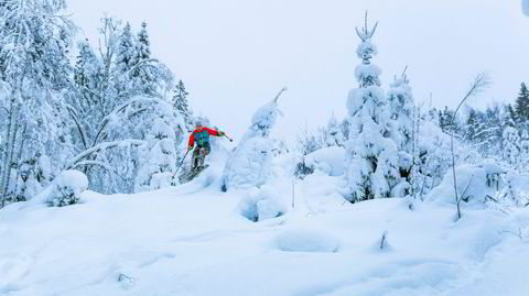 Japan? Dyp puddersnø, glissen skog. – Vi prøver å gjenskape den japanske skogen, som mange mener er den optimale skogkjøringen på planeten, sier Fredrik Luytkis.