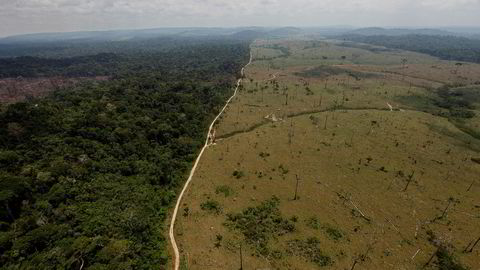 I et lovforslag fremmet 13. juli, foreslo Brasils miljødepartement å åpne for at store deler av Jamanxim-skogen i Amazonas kan bli avskoget.
