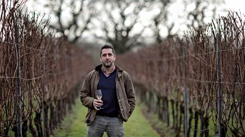 Charlie Holland på vingården Gusbourne i Appledore i Kent. Produksjonen av musserende vin har tatt av i det sørlige England, og særlig i Kent og Sussex, og konkurrerer nå mot fransk musserende.