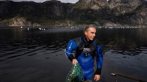 Brynjar Berg var en av landets mest eksklusive matvareprodusenter. Så begynte blåskjellene og kråkebollene hans å dø.