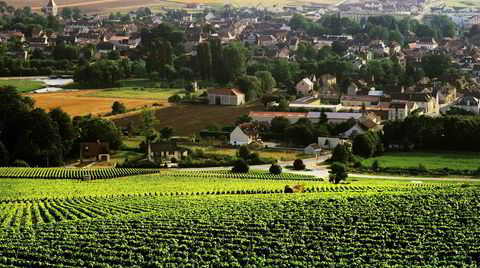 Landsbyen Chablis bader i vinmarker.