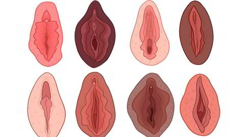 Mythbushters. Humor må til for å knuse vaginamyter, ifølge illustratøren Charlotte Willcox.