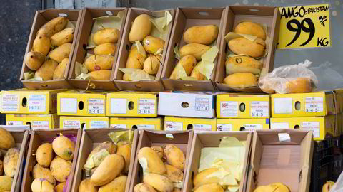 Klimaendringene vil ramme jordbruket hardt. Disse pakistanse mangoene holder til på Grønland i Oslo.