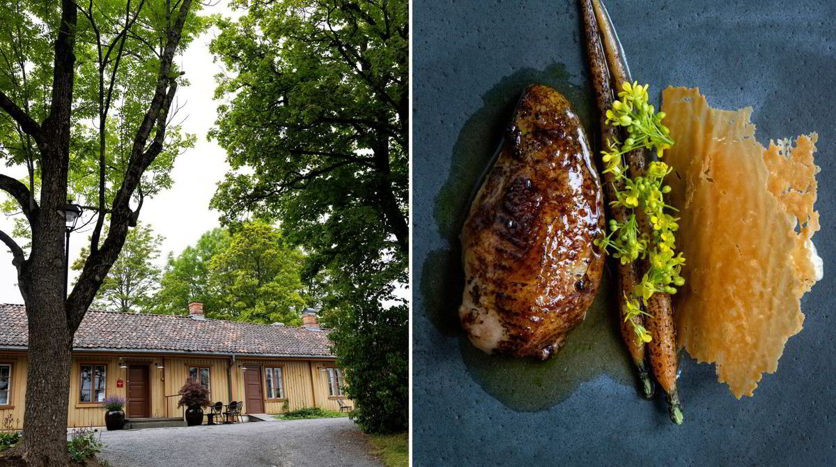 Anmeldelse av restaurant Schlägergården. (+) | DN