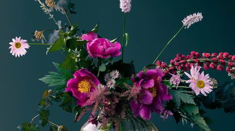 Lat hage. Stauder krever ikke konstant stell, oppmerksomhet og plukking av visne blomster for å vise seg fra sin beste side. Med andre ord: perfekt for den bedagelige hobbygartner.