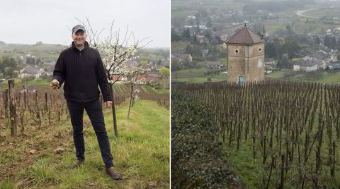 Energiske og særegne viner fra Stéphane Tissot i Jura.