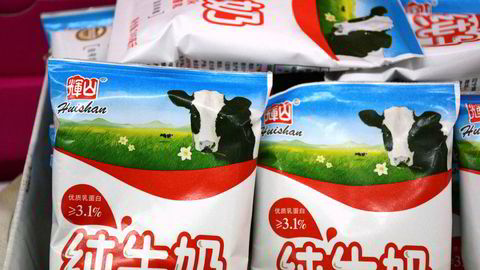 China Huishan Dairy Holdings var i ferd med å bygge opp et av verdens største meieriselskaper med store farmer i Kina. Nå har alt kollapset. Finansdirektøren har forsvunnet. Det har også tre milliarder kroner fra selskapets kasse.