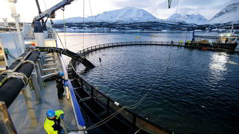 Matrosene Pål Karlsen (nærmest) og Martin Mathisen på Brønnbåten RO Fortune som eies av RO Stein as på besøk hos oppdrettsanlegget Lerøy Årøya i Lyngenfjorden. Brønnbåtnæringen tjener svært godt på å fjerne lakselus fra oppdrettslaks.