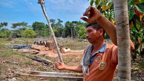 Bonden Uriel Casallas i Colombia fikk ødelagt kokainhøsten av myndighetene.