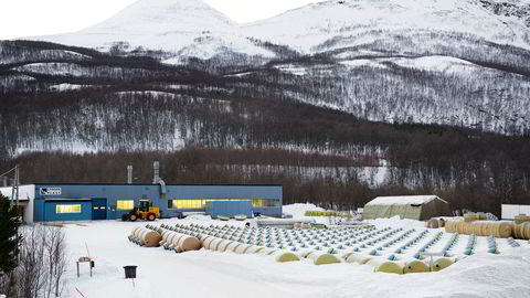 Den omstridte festetomten ved Lyngseidet som Lyngen plast as fester fra Opplysningsvesenets fond.