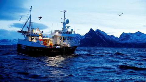 2016 blir et rekordår for norsk fiske. På bildet fisker skipper Trond Dalgård og Jan Gunnar Johansen etter skrei på havet ved Gryllefjord på utsiden av Senja.