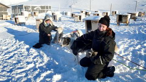 Marisol Was (36) (til venstre) og Anne von Blixen (34) kan ikke få fullrost Svalbard. Her er de tilbake fra hundekjøring utenfor Longyearbyen.