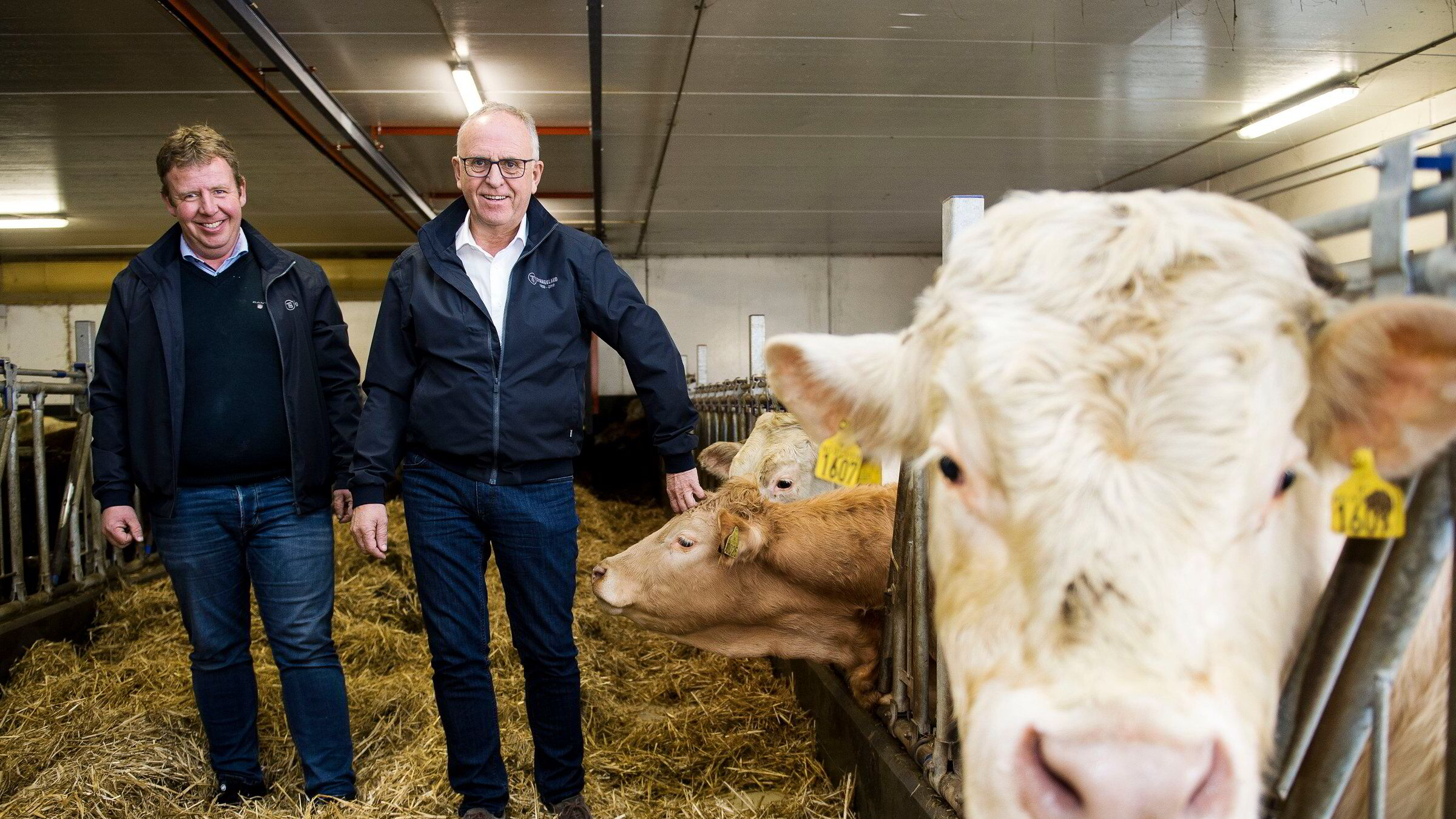 Entreprenørene Tommy og Olav Stangeland: Rekord og passerte milliarden i finansplasseringer