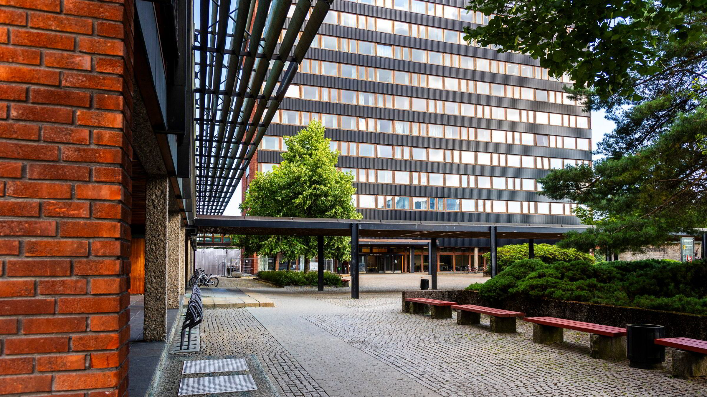 Trosser KI-usikkerhet: &Oslash;konomistudier blant &aring;rets mest popul&aelig;re