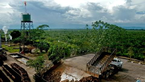 Colombia er verdens 4 største produsent av palme olje.