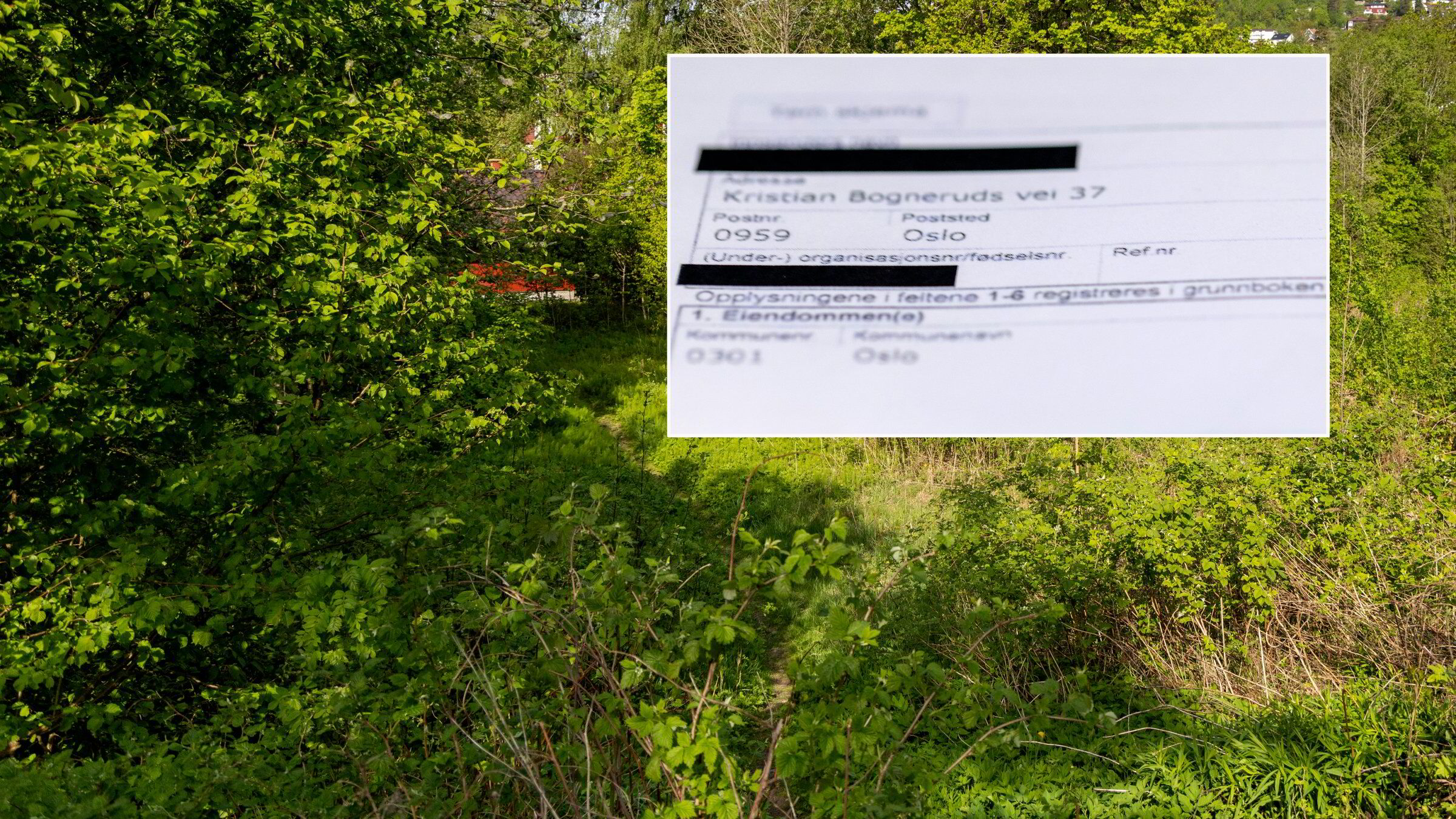 Forfalsket familiens signaturer: Oslo-tomt ble overført til etiopisk akademiker