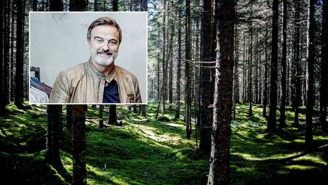 Investor Ola Mæle og hans selskaper rår over 650.000 mål skog.