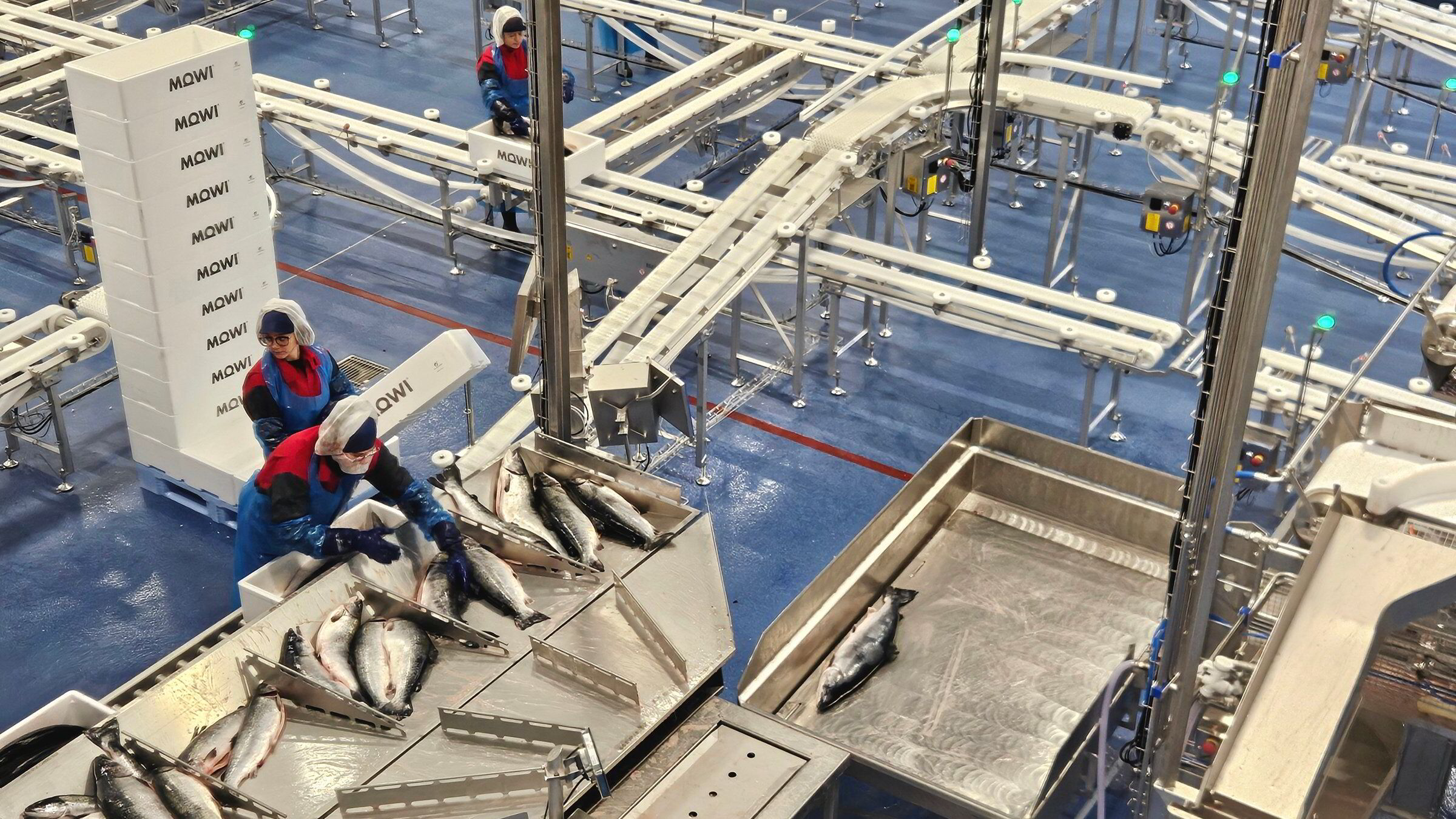 Meglerhusene venter strammere laksemarked – uenige om prisnivået