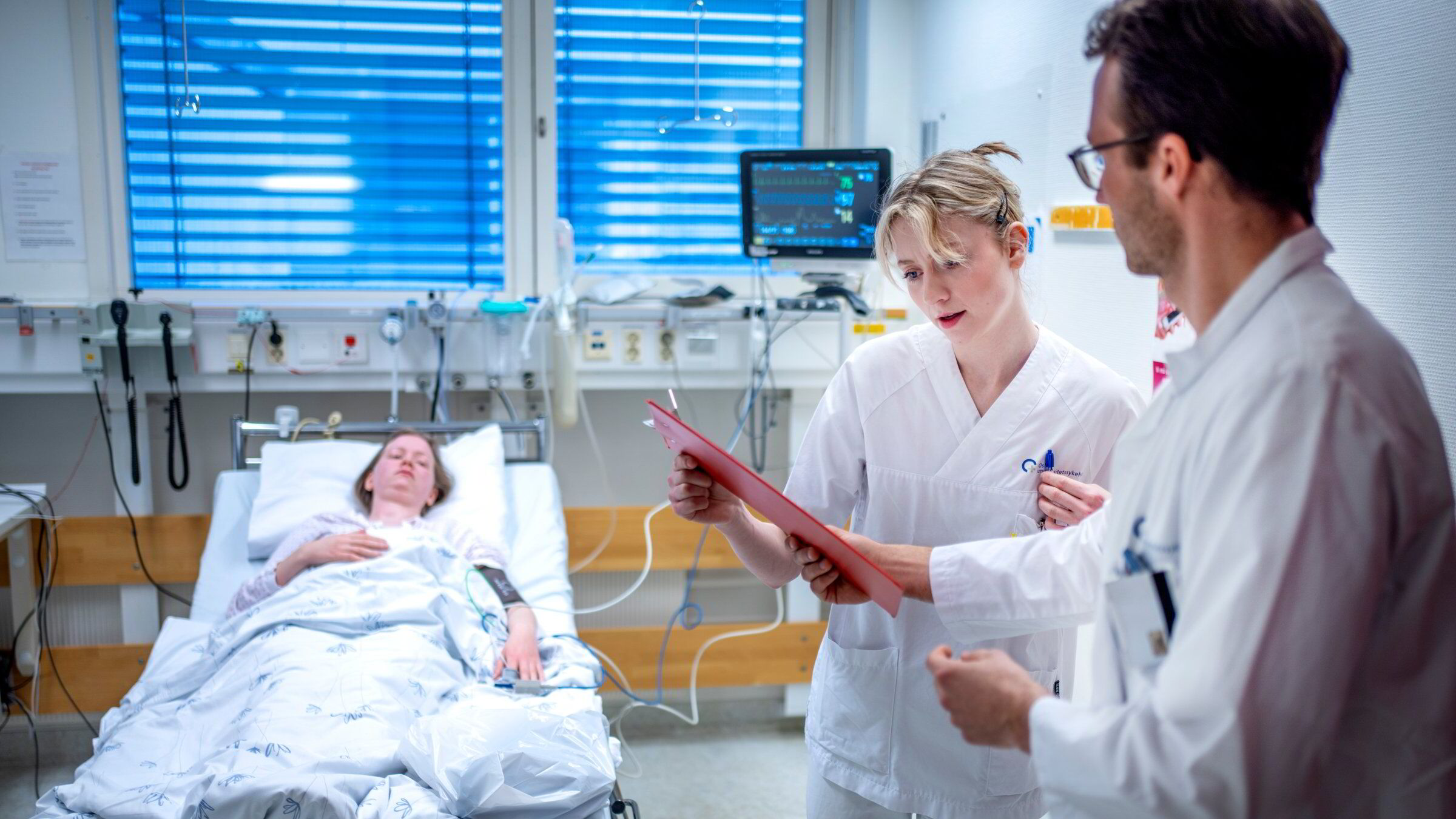 Høyere IQ – bedre leder? Neppe