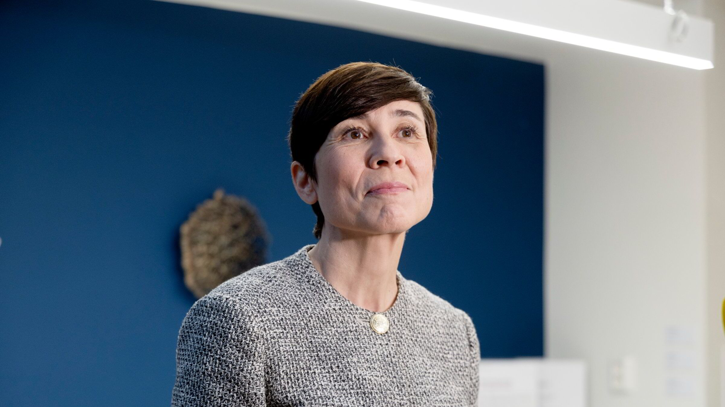 The Ministry of Foreign Affairs received Epstein advice from the Attorney General