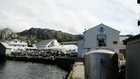 Det var fra fabrikken på Atløy i Sogn og Fjordane at fiskematleverandøren Sigurd Løkeland as skulle drive store prosjekter innen forskning og utvikling. Prosjektregnskapene, signert av revisor, ga store Skattefunn-utbetalinger gjennom flere år. Etter fire år og mer enn syv millioner Skattefunn-kroner kom Skatteetaten og senere Finanstilsynet på banen.