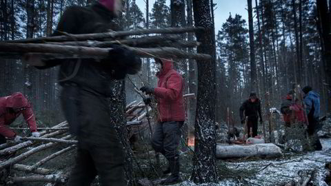 Slår leir. 12 menn flytter ut i skogen for å lære å overleve hvis russerne kommer. Granbar og stokker er allerede lagt klart av instruktørene på kurset, slik at sivilistene lett kan bygge leir.