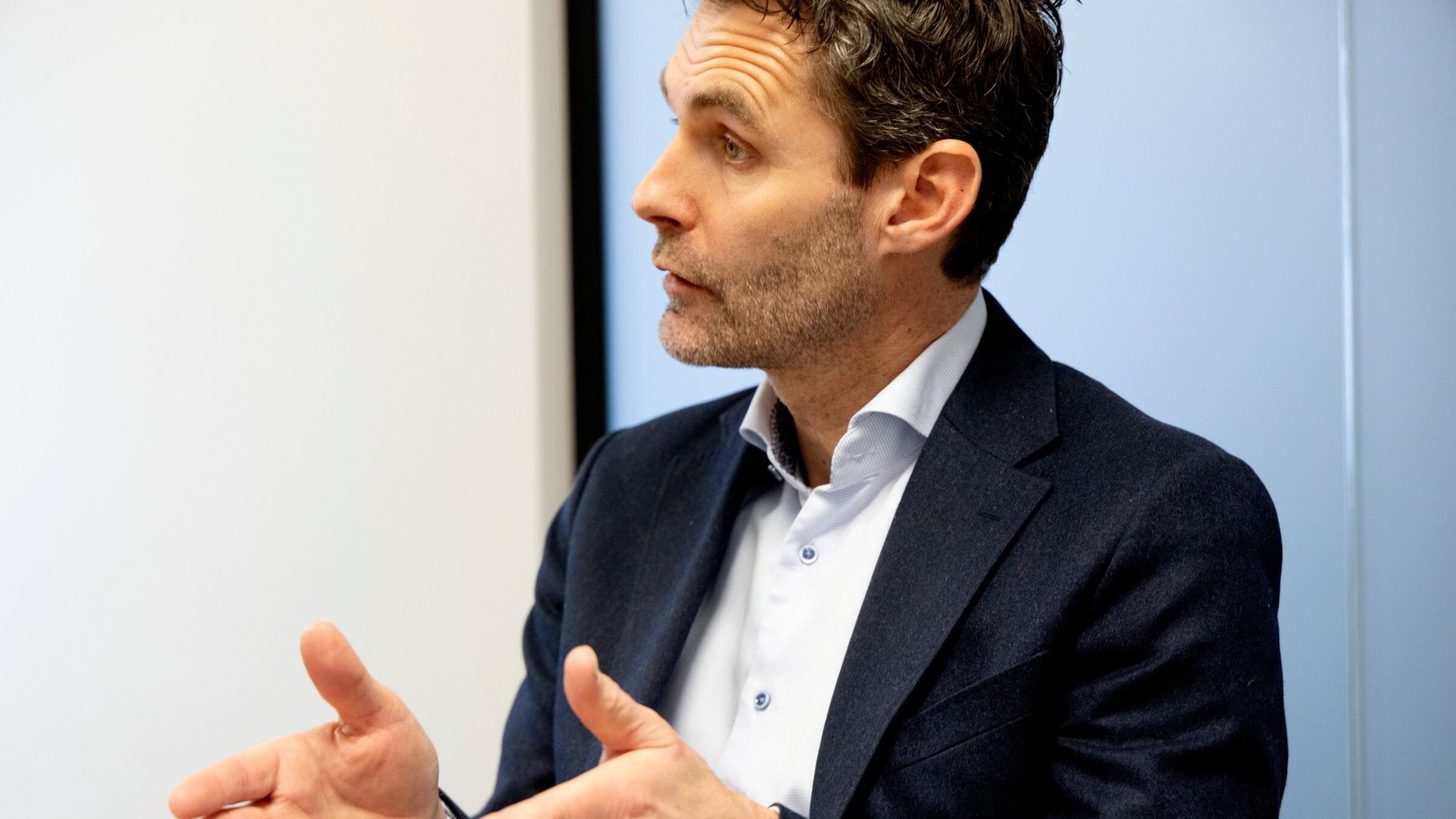 Overlever Næringsbanken?