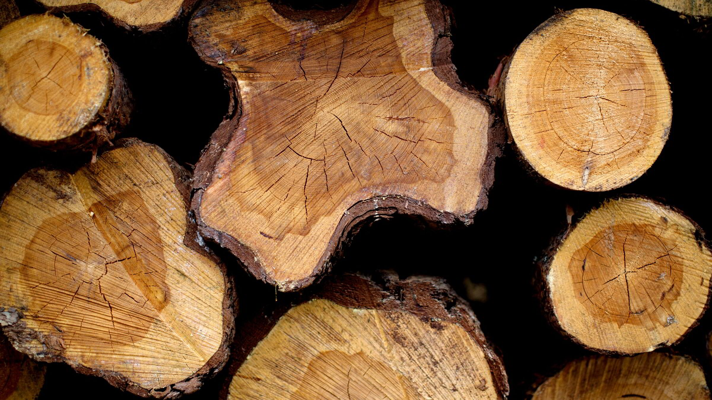 Skjær og trygge havner