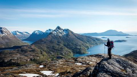 Mann på topptur til Brenneshovudet på Helgelandskysten. Med Okstinden i bakgrunnen.