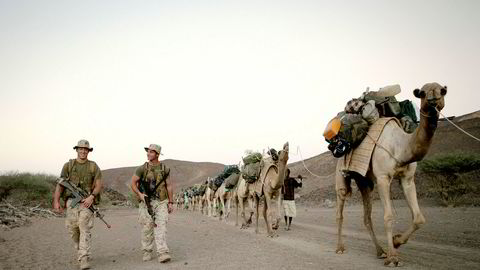 Noen av Djiboutis rundt 20.000 kameler bidrar til å dra lasset for stormaktene som har militærbase der. Her fra en amerikansk militærøvelse i ørkenlandet.