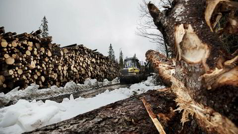 Når det gjelder produksjon av biodrivstoff fra norsk skog, fokuserer alle seriøse aktører – både innen forskning og industri – på bruken av restmaterialene, og ikke på hogst av skog til energiproduksjon. Her fra skogshogst i Mo i Rana.