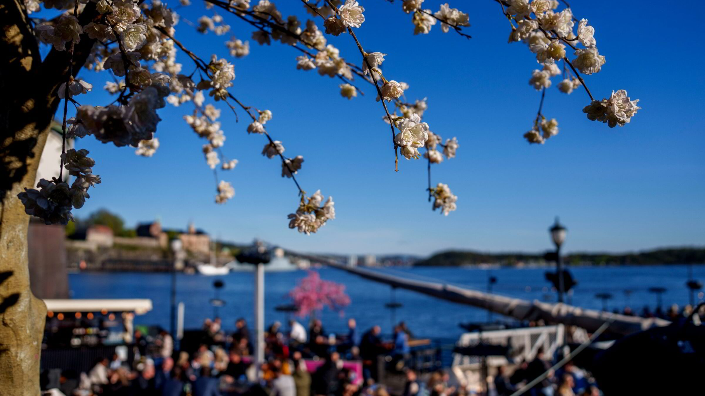 Utelivsbransjen om 17. mai-omsetningen: – Maks av hva vi håpet på!