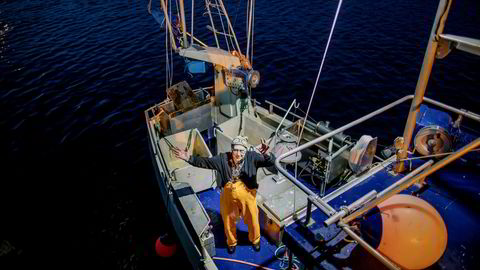Fisker Arne Ingebrigtsen på sjarken «Nordgrunn» på Hovden i Vesterålen har lite til overs for seismikk.