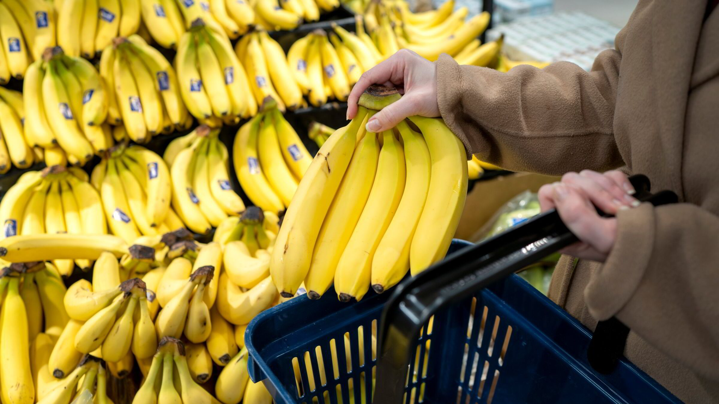 Prisene i oktober gikk helt bananas