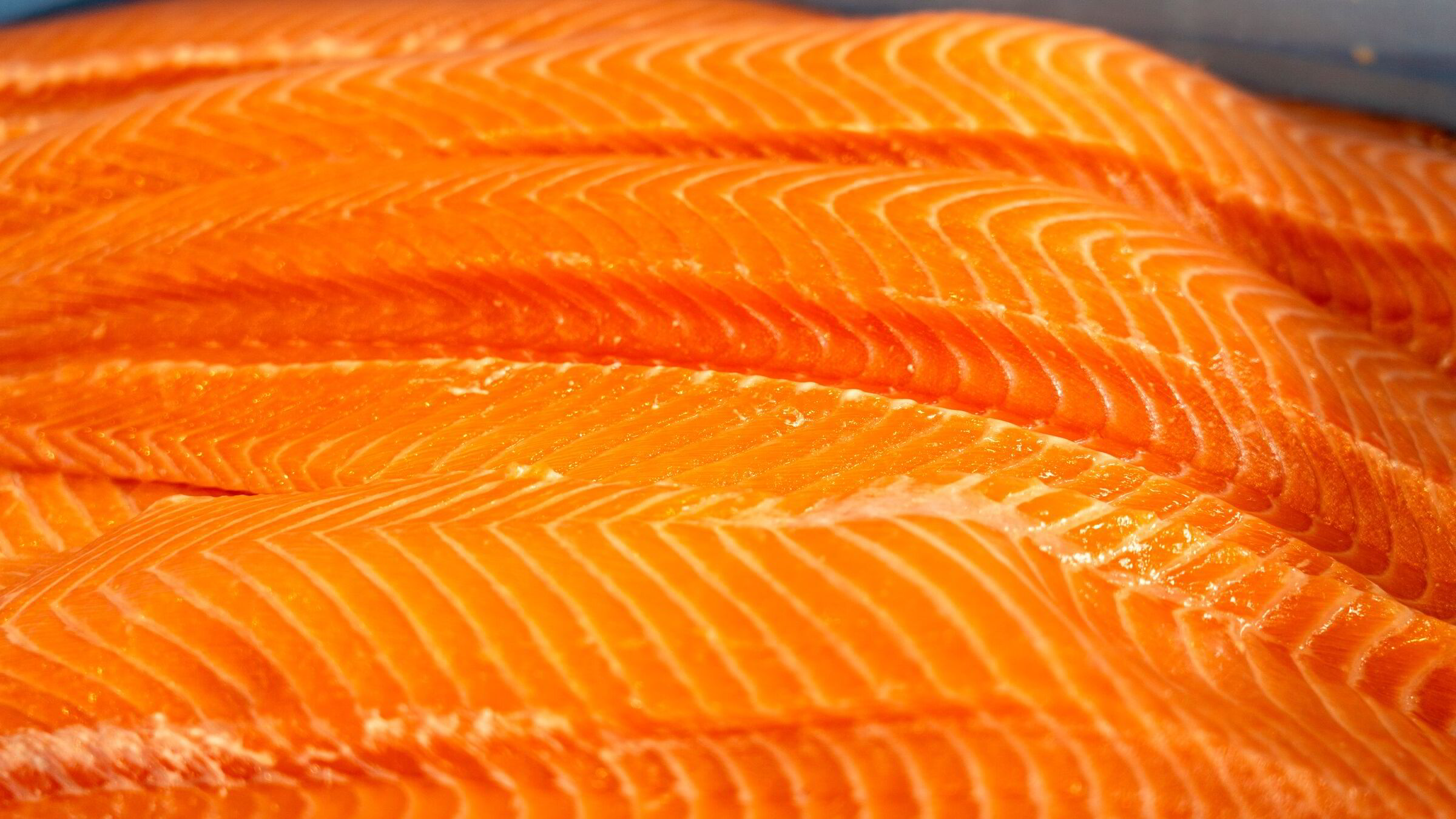 Het uke for sjømataksjene: – Investorene får passe på å «never miss a good crisis»