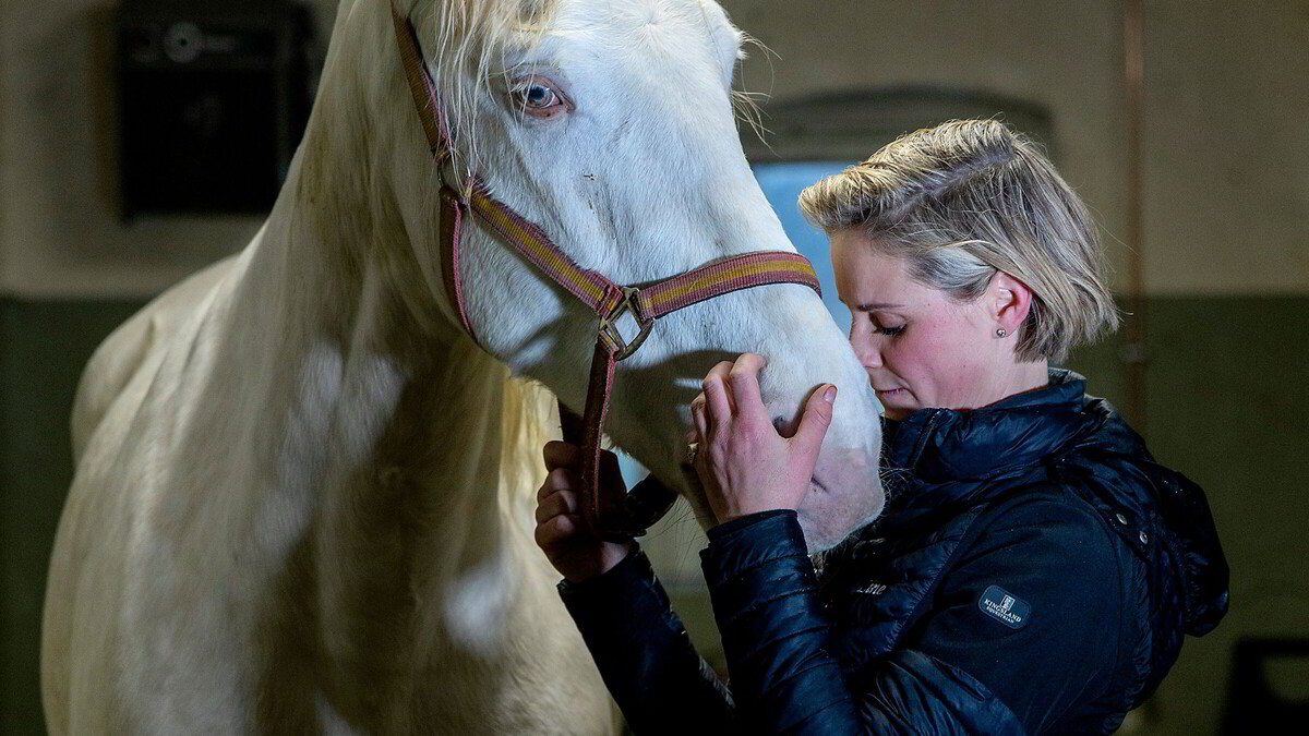 &ndash; Jeg st&aring;r i fare for &aring; miste g&aring;rden (+)