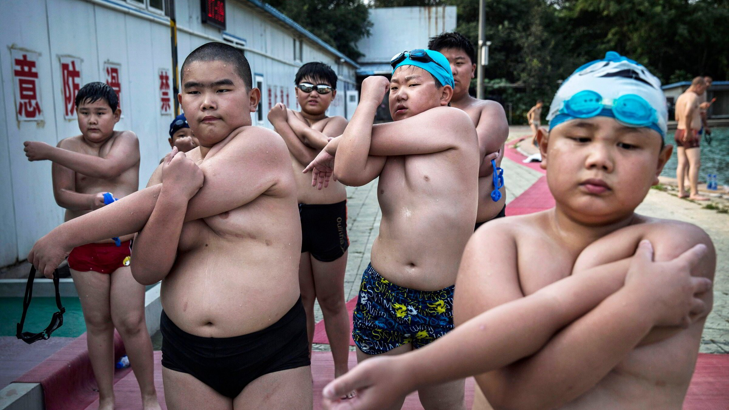 Den globale fedmeepidemien