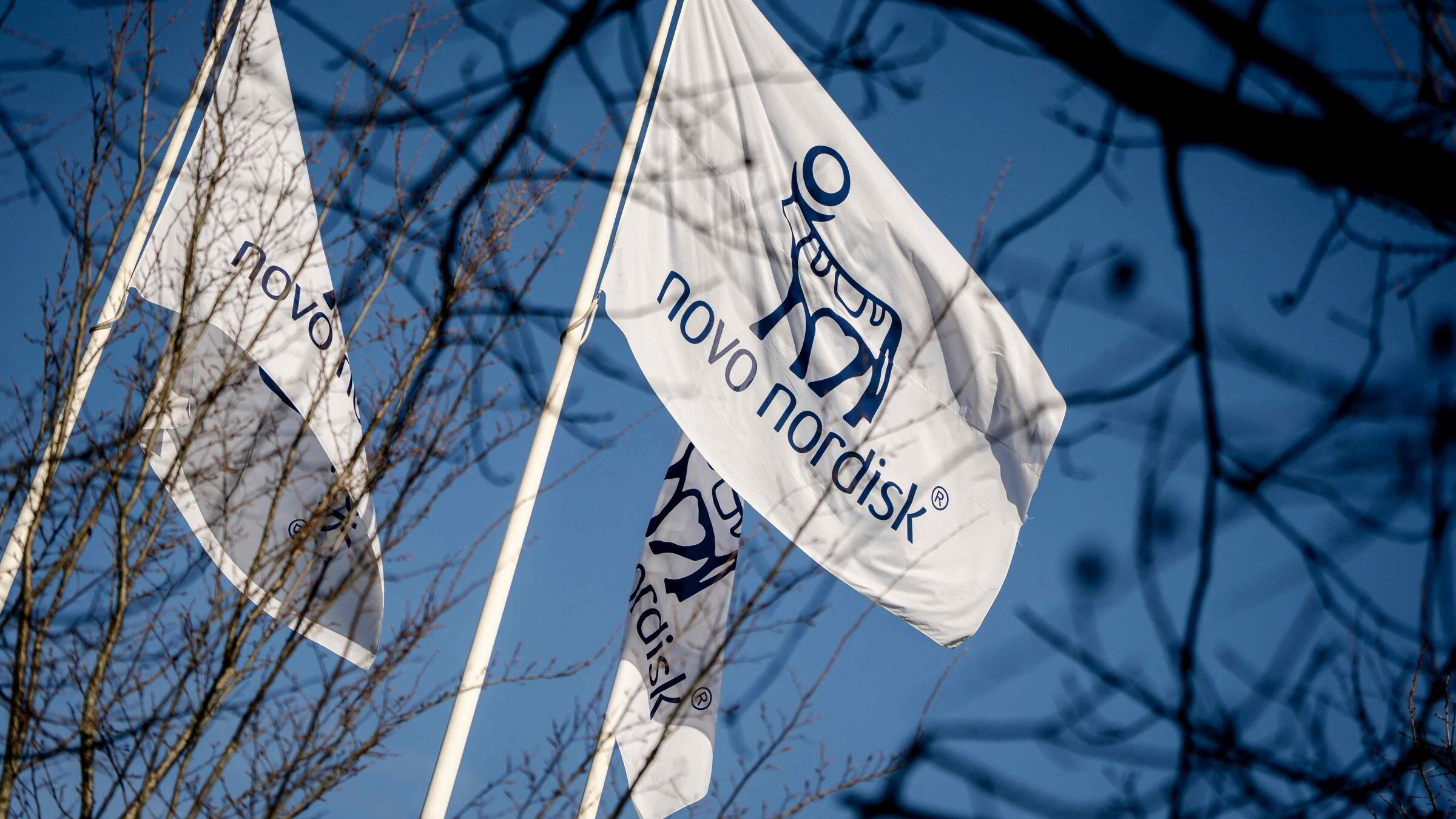 Den danske farmasigiganten Novo Nordisk legger frem skuffende resultater