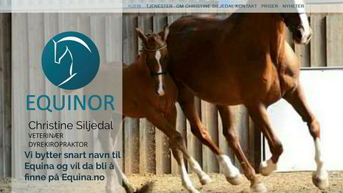 Skjermdump fra nettsiden Equinor.no, som er eid av hestekiropraktor Christine Siljedal Arnesen
