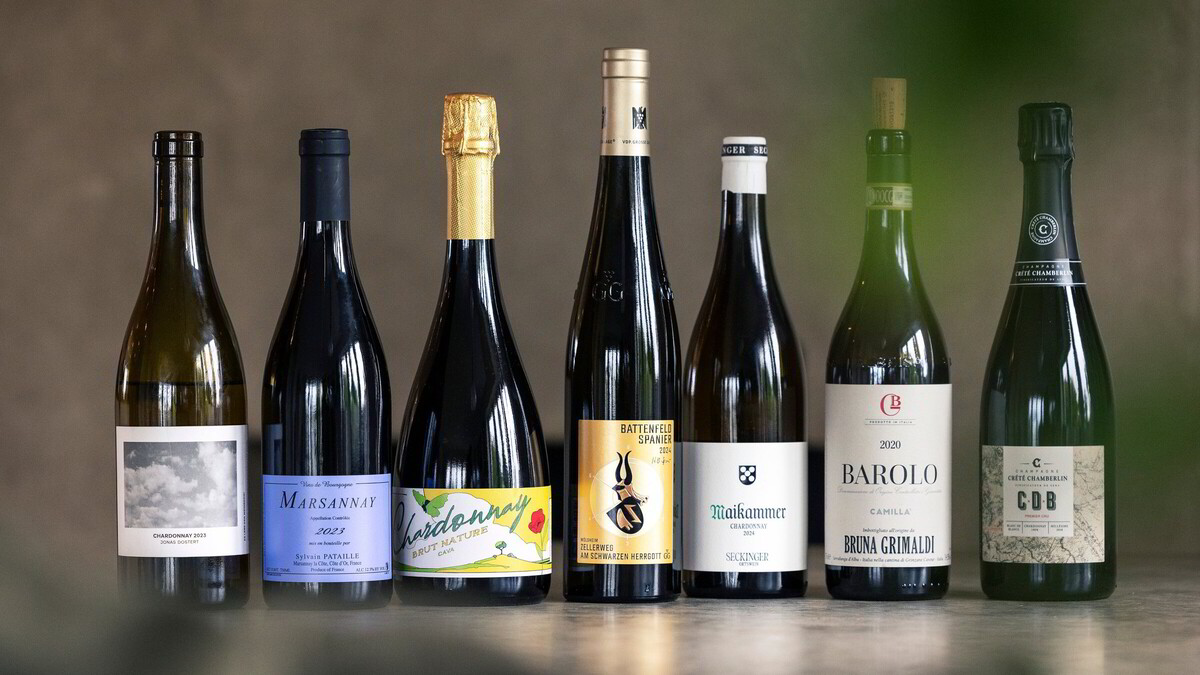 De 25 beste kjøpene på Polets septemberslipp