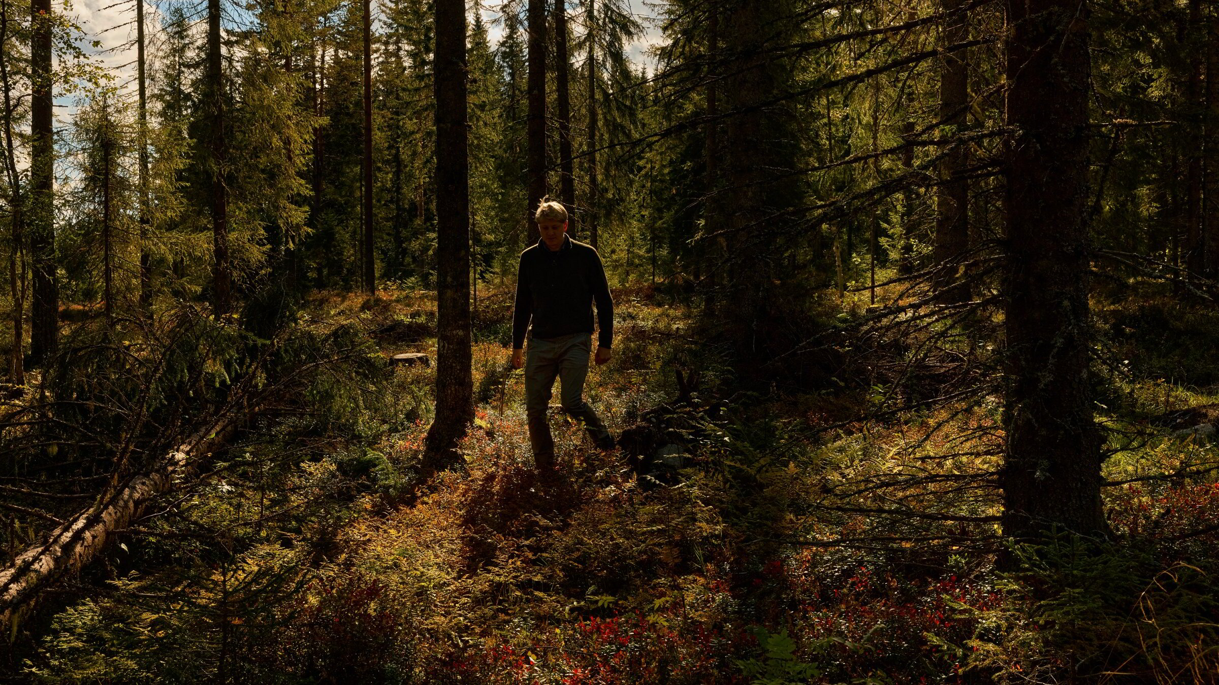 Kjøpte skog – fikk med et herskapshus på kjøpet