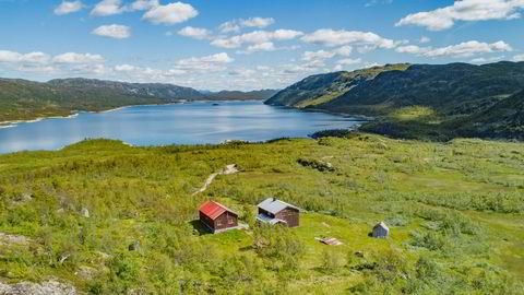 Far og sønn Tollefsen har kjøpt et enormt jaktterreng i Vinje for 33 millioner kroner. Formålet med eiendommen er først og fremst jakt og fiske, skriver de i konsesjonssøknaden.