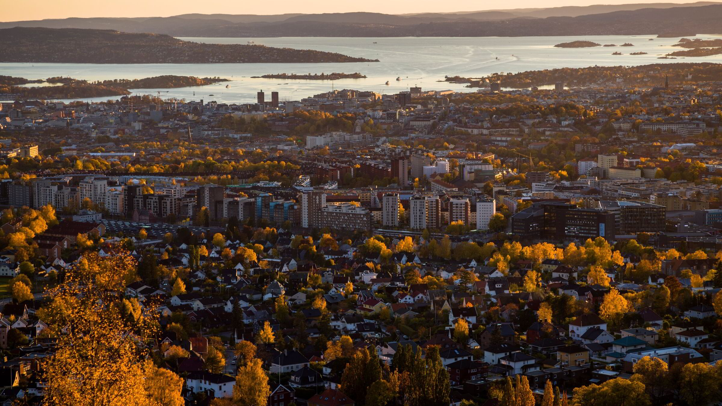 Generasjonen som gir opp boligmarkedet