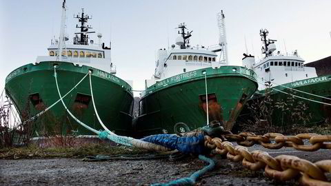 Shippingaksjene fikk litt motvind fredag. Her er offshoreskip fra Havila Shipping i opplag ved den gamle sildoljefabrikken i Moltustranda.